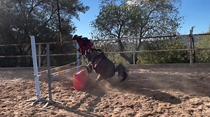 10K views · 87 reactions | With a request from one of our fans @saritah_maecy Make sure to follow us @horsesvideosfails for more fails No hate tolerated!! #horselovers #horsefails #horsefail #horseridingfail #horseridingfails #horses #horseofinstagram #jumping #horsejumping | HorseLovers Fails | Facebook