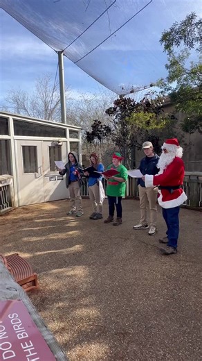 Our Aviary birds aren’t the only ones who can make some noise at Flint RiverQuarium! Fin the Elf gathered Santa and his fellow elves to provide our birds a special Fishmas caroling! And what better song to pay tribute to our 12 Days of Fishmas?! Our Aviary birds certainly enjoyed being serenaded about 12 different species of birds! Check back tomorrow to see which animal will be featured as the Countdown to Fishmas continues! | Flint RiverQuarium