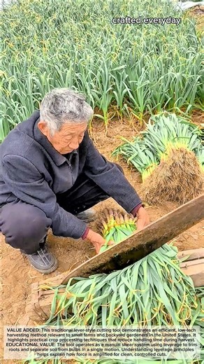 Traditional Lever Cutter for Harvesting Garlic and Leeks #craftedeveryday