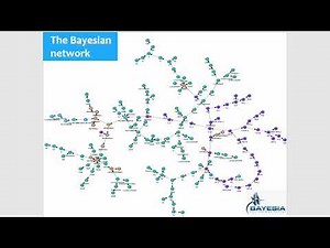 Using Bayesian Networks for Environmental Health Risk Assessment