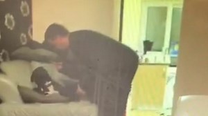 Man banned from keeping dogs after being filmed punching his own