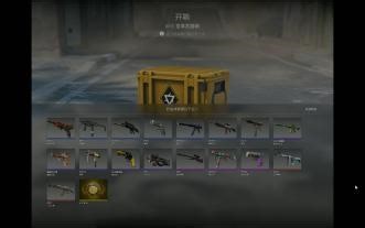 2箱反冲精英0.004崭新出厂