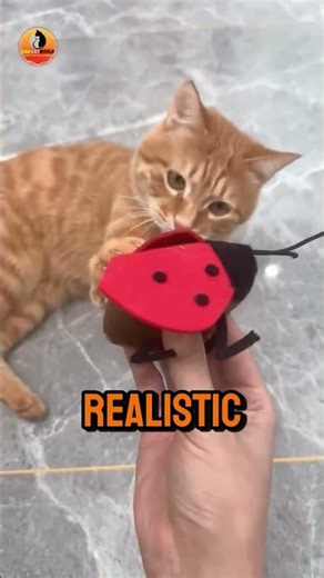 😻🎶 The Interactive Sound Toy Your Cat Will Go CRAZY For! 🐾✨"