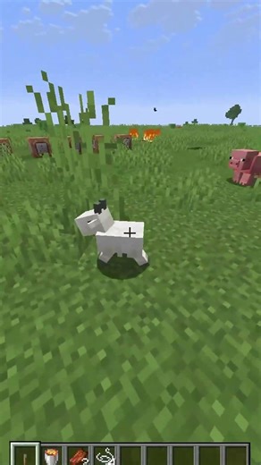 MOB bebe de MINECRAFT Parte 5