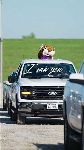 🐯 Some campuses have mascots. LSU has Mike.