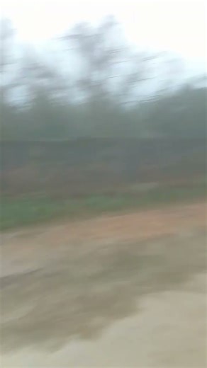 Hindi old song with nature