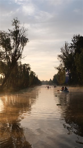 Pati Jinich on Instagram: "Episode 3 of #PatisMexicanTable Mexico City is out! Link in bio to stream it on PBS.org or the @pbs app, or look for it on your local public tv station. This time, Mexico City’s quieter side along the Xochimilco canals where farmers like Sonia Tapia are keeping ancient practices alive in the chinampas, and conservationists Francisco Salvador and Omar Espinoza are protecting one of Mexico’s most beloved and symbolic creatures, the axolotl. Chef Raul Jimenez honors this
