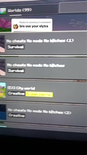 Exploring Elytra in Minecraft Gameplay