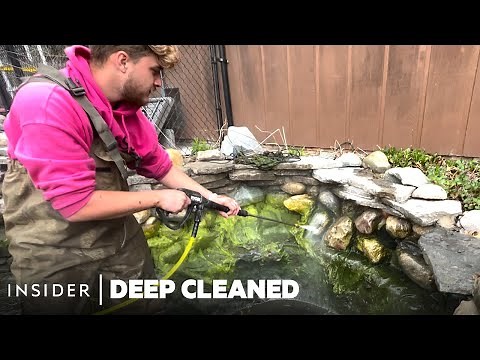 How An Algae-Infested Koi Fish Pond Is Deep Cleaned | Deep Cleaned | Insider