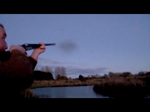 The Shooting Show - duck flighting triple bill