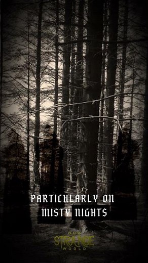 The Chilling Mystery of Dering Woods – England’s Screaming Forest