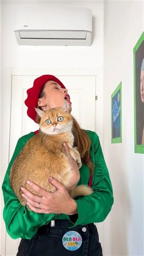 Cat Visits an Art Gallery! 🎨🐱