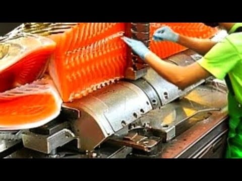 Rudra geet is live! the machine world 🌎💪👀