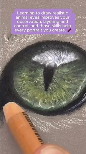 If drawing realistic animal eyes using pastel pencils feels intimidating, then watch this. 👀