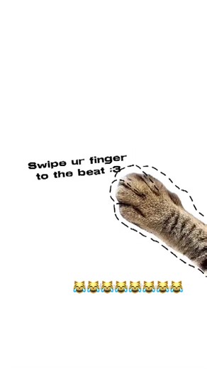 Try ir it again #cat #fyp