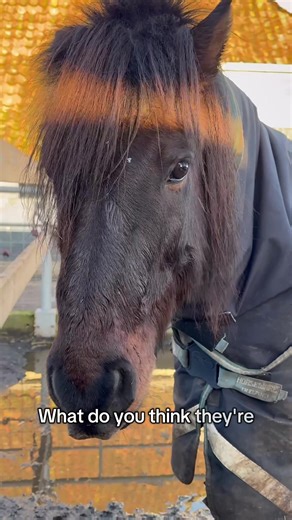 Humorous Conversations That Everyone Relates To