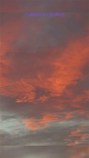Morning Glory Clouds Roll Like Ocean Waves Across the Australian Sky #Shorts