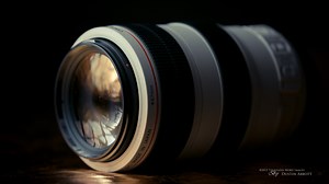 Canon 70-300mm f/4-5.6L IS Review - The Ultimate Zoo Lens? - DustinAbbott.net