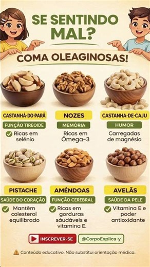 Oleaginosas: o superalimento que você não pode ignorar!