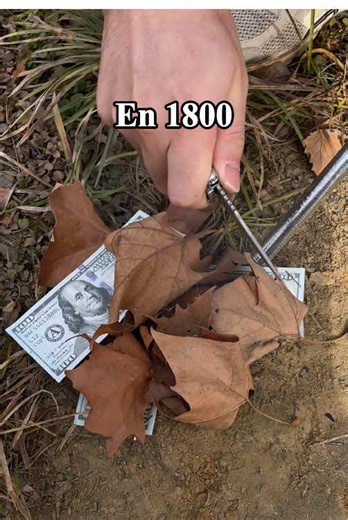 Cerilla Metálica: La Revolución en Encender Fuego