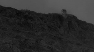 The She-Creature (1956)