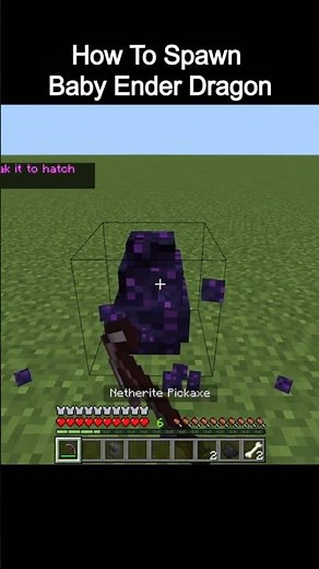 How To Spawn Baby Ender Dragon From Egg In Minecraft 🐣😲