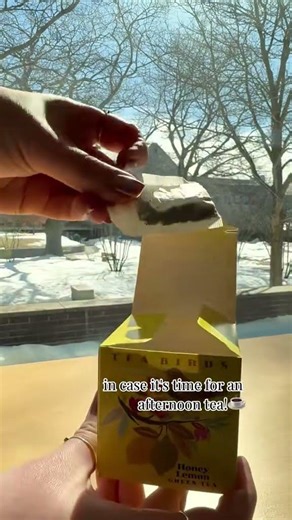 What’s In My Bag? | Harvard Divinity School Student Edition