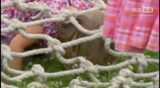 I_Can_Cook_on_the_Go_S01E10_Watermelon Cooler and