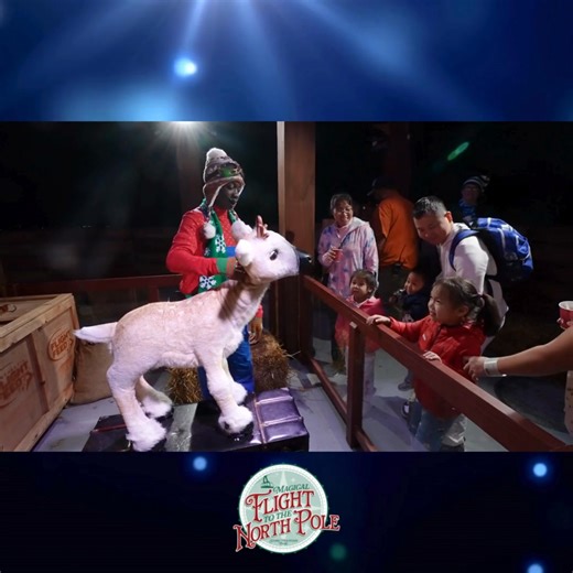 19K views · 1.3K reactions | Experience the magic of Christmas like never before at Stone Mountain Park! Our NEW Magical Flight to the North Pole takes you on an enchanting journey to Santa's world.  Soar in the Enchanted Sleigh Ride, check out reindeer flight training, and discover if you've made the Nice List! Book your Magical Flight to the North Pole now! | Stone Mountain Park | Facebook