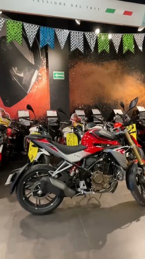 19K views · 51 reactions | Elektra Motos Progreso de Obregón, tiene las mejores promociones y descuentos en este Buen Fin, para que puedas tener la motocileta que siempre has querido ‼️ Conoce la gama de motociletas y elije la que mas se adapte a tus necesidades  Solicita más informes al número 772 176 1764 | Grito Informativo | Facebook
