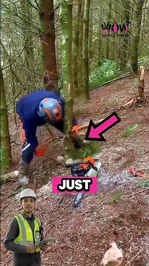 Tree Cutting Trick Without Using Ropes