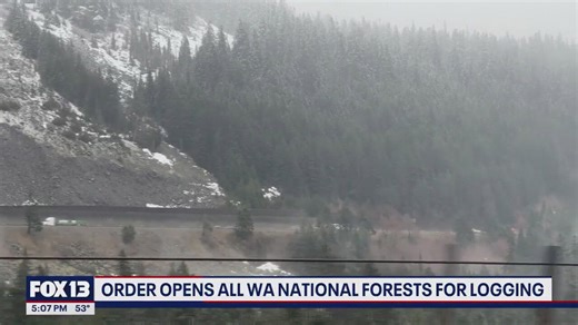 Trump order opens all WA national forests for logging
