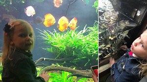 37 reactions | Just watching Ava Jolie learn new things & say new words everyday ~is such a priceless precious gift!!! We spent today at the Georgia Aquarium with Mammaw & Poppy❤️❤️❤️ I’m not sure who had more fun today?? Lol  | Danielle Peck | Facebook