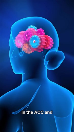 Understanding Adult ADHD: How the Brain Works & How Treatment Helps...