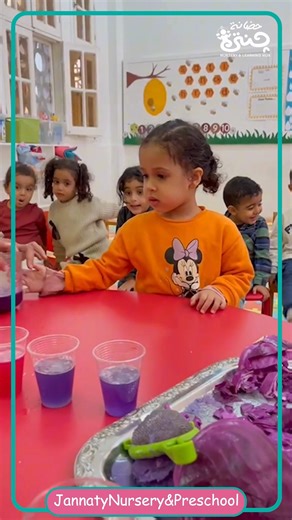 Red cabbage experiment Watch how the colour changes when we test different liquids! 🧪👩‍🔬👨‍🔬 | Jannaty Nursery & Preschool