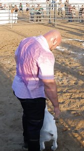 Brian Attempts to win a GOAT🐐 show 🤣 | Brian Shaw