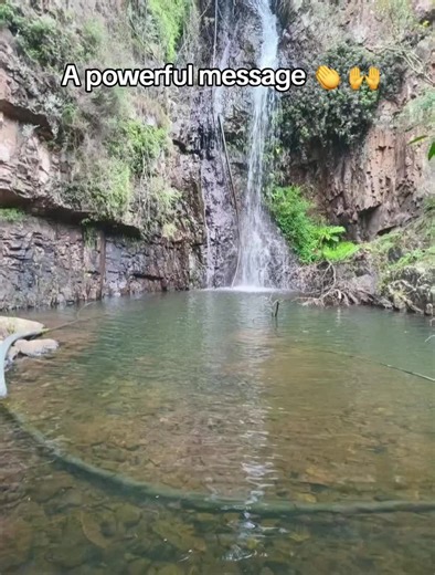 #motivation #fyp #inspirationalquotes #facts #fppppppppppppppppppp