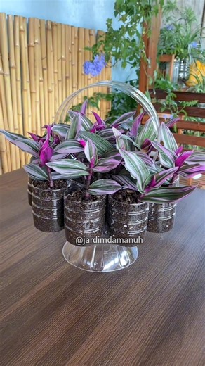 Criando vasos com garrafas pets #garden #jardim #jardinagem #plantas