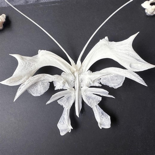 Bone Butterfly, Made From Real Deep-sea Fish Bones, Including Box.cottagecore,vulture Culture,voodoo Craft.gift for Man.gift for Woman - Etsy