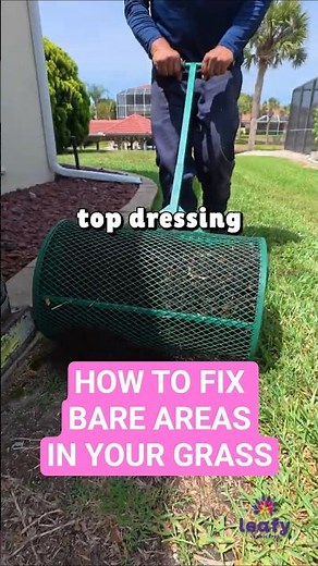 How to fix bare areas in your grass