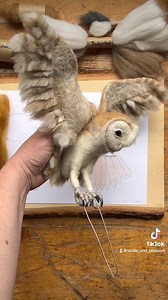 136K views · 6.6K reactions | Today is International Owl awareness...