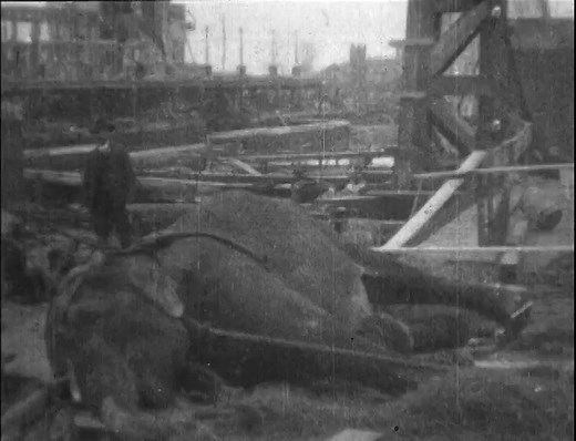 Electrocuting an Elephant