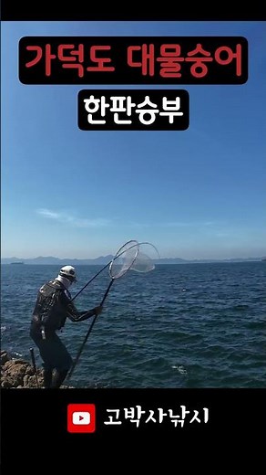 🐟부산 가덕도 대물숭어🎣 #fishing #낚시 #숭어낚시 #가덕도
