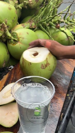 Extreme Coconut Cutting Knife Competition
