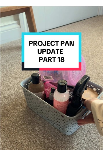 Part 18 l Project pan update ✨💕 and it's a good one!! #projectpan2026 #projectpan #fyp #overconsumption #foryou