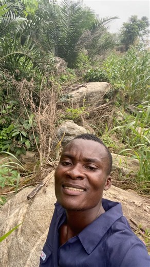 Rocky Area at The Farm