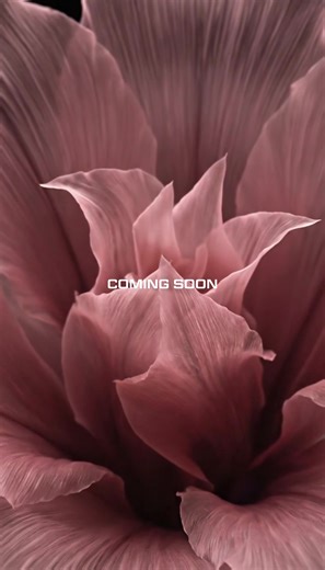 The RONIN sakura edition.