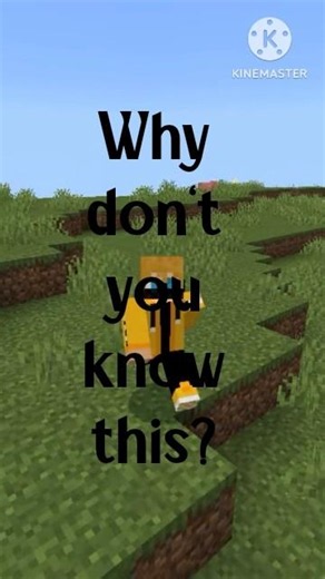 Minecraft’s Shulker Is Not A Mob! 🚫 #minecraft #gaming #minecraftshorts