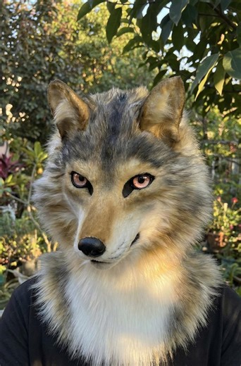 Realistic Wolf Fursuit Head Mask and Paws, Custom Cosplay Furry Costume Head - Etsy