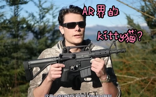 【熟】【Hop】AR界的Kitty猫小可爱——DPMS KittyKat复刻